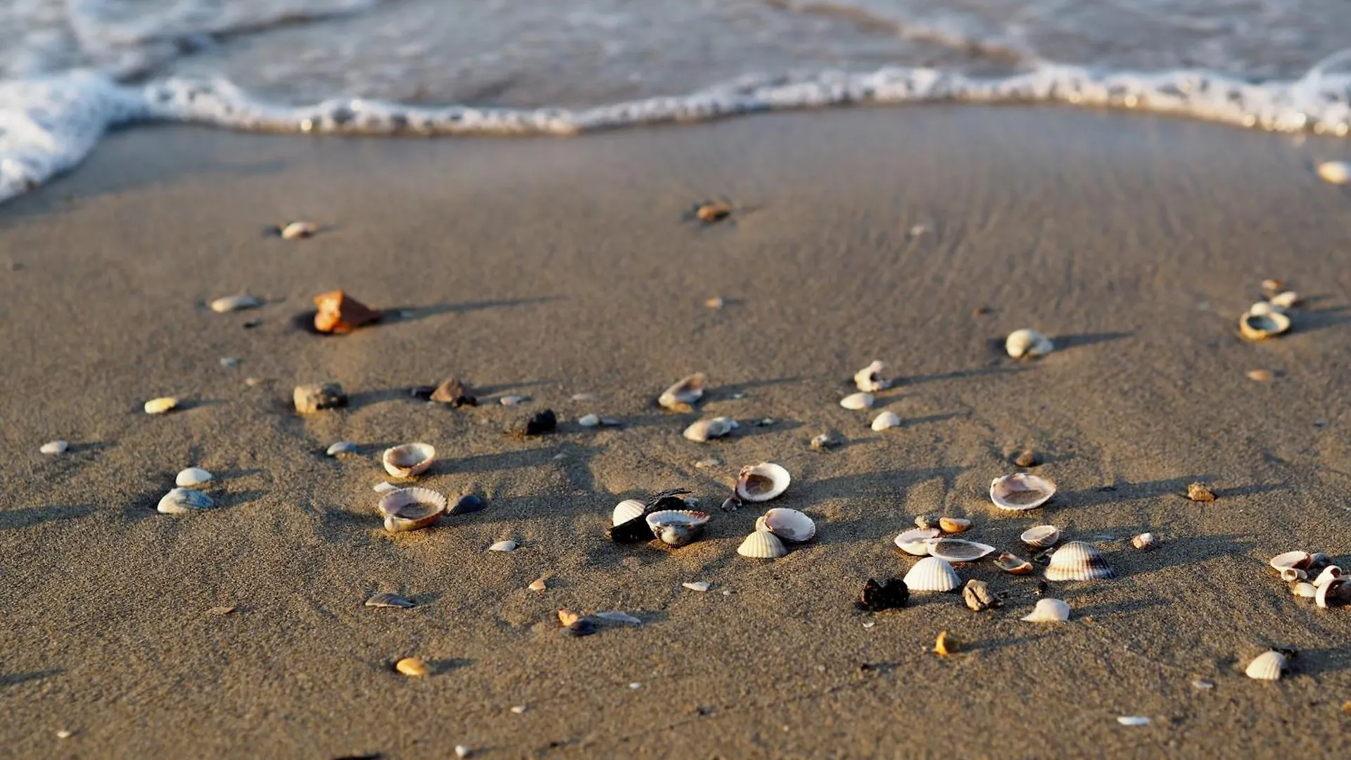 Appartement Lovely Beachside Flat - Beahost Bibione Italie